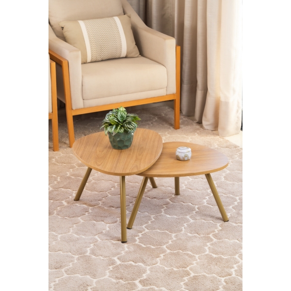 Mesa de Centro Orgânica - Freijó