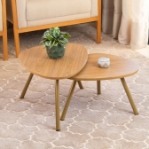 Mesa de Centro Orgânica - Freijó