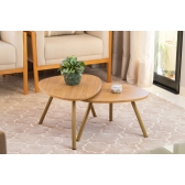 Mesa de Centro Orgânica - Freijó